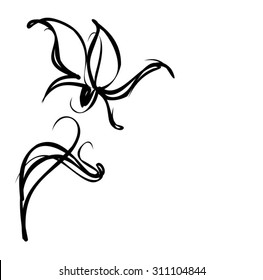 Drawing vector graphics with floral pattern for design. Floral flower natural design. Graphic, sketch drawing. lily, tulip.
