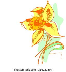 Drawing vector graphics with floral pattern for design. Floral flower natural design. Graphic, sketch drawing.narcissus