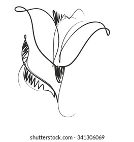 Drawing vector graphics with floral pattern for design. Floral flower natural design. Graphic, sketch drawing. lily, tulip.