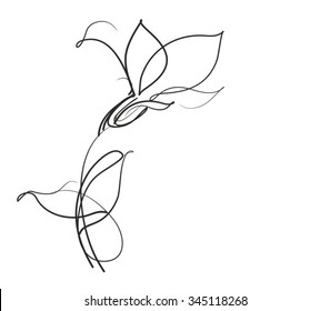 Drawing vector graphics with floral pattern for design. Floral flower natural design. Graphic, sketch drawing. lily, tulip.