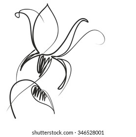 Drawing vector graphics with floral pattern for design. Floral flower natural design. Graphic, sketch drawing. lily, tulip. 