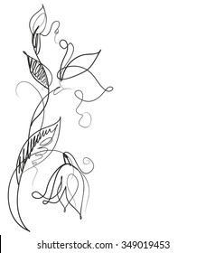 Drawing vector graphics with floral pattern for design. Floral flower natural design. Graphic, sketch drawing. lily, tulip.