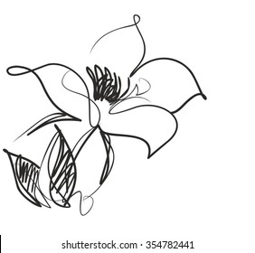 Drawing vector graphics with floral pattern for design. Floral flower natural design. Graphic, sketch drawing. lily, tulip.
