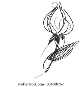 Drawing vector graphics with floral pattern for design. Floral flower natural design. Graphic, sketch drawing. lily, tulip.