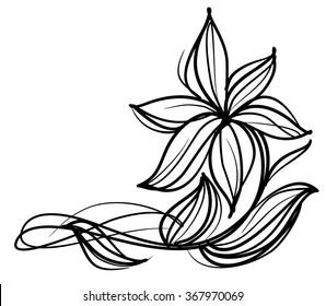 Drawing vector graphics with floral pattern for design. Floral flower natural design. Graphic, sketch drawing. lily, tulip.

