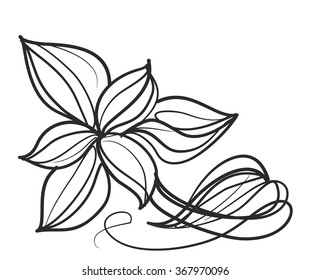Drawing vector graphics with floral pattern for design. Floral flower natural design. Graphic, sketch drawing. lily, tulip.

