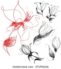 Drawing vector graphics with floral pattern for design. Floral flower natural design. Graphic, sketch drawing. lily, tulip.