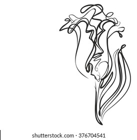 Drawing vector graphics with floral pattern for design. Floral flower natural design. Graphic, sketch drawing. lily, tulip.


