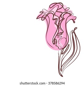 Drawing vector graphics with floral pattern for design. Floral flower natural design. Graphic, sketch drawing. lily, tulip.

