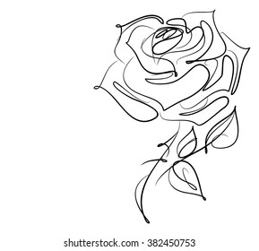 Drawing vector graphics and floral pattern for design  Floral flower natural design  Graphic  sketch drawing  rose
