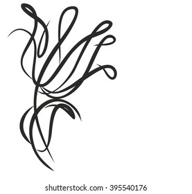 Drawing vector graphics with floral pattern for design. Floral flower natural design. Graphic, sketch drawing. lily, tulip.