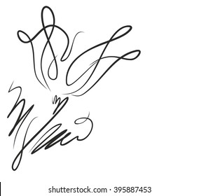 Drawing vector graphics with floral pattern for design. Floral flower natural design. Graphic, sketch drawing. lily, tulip.