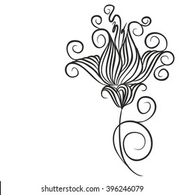 Drawing vector graphics with floral pattern for design. Floral flower natural design. Graphic, sketch drawing. lily, tulip.