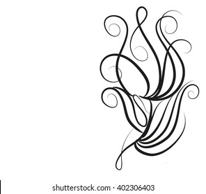 Drawing vector graphics with floral pattern for design. Floral flower natural design. Graphic, sketch drawing. lily, tulip.