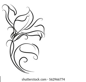 Drawing vector graphics with floral pattern for design. Floral flower natural design. Graphic, sketch drawing. lily, tulip.