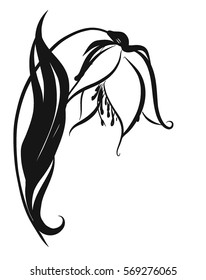 Drawing vector graphics with floral pattern for design. Floral flower natural design. Graphic, sketch drawing. lily, tulip.