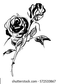 Drawing vector graphics and floral pattern for design  Floral flower natural design  Graphic  sketch drawing   rose