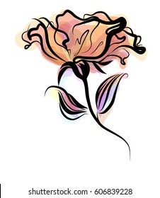 Drawing vector graphics with floral pattern for design. Floral flower natural design. Graphic, sketch drawing.  rose

