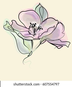 Drawing vector graphics with floral pattern for design. Floral flower natural design. Graphic, sketch drawing. lily, tulip.

