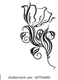 Drawing vector graphics with floral pattern for design. Floral flower natural design. Graphic, sketch drawing. lily, tulip.