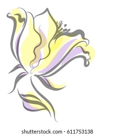 Drawing vector graphics with floral pattern for design. Floral flower natural design. Graphic, sketch drawing. lily, tulip.

