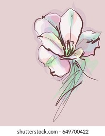 Drawing vector graphics with floral pattern for design. Floral flower natural design. Graphic, sketch drawing. freesia