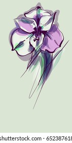 Drawing vector graphics with floral pattern for design. Floral flower natural design. Graphic, sketch drawing.  freesia