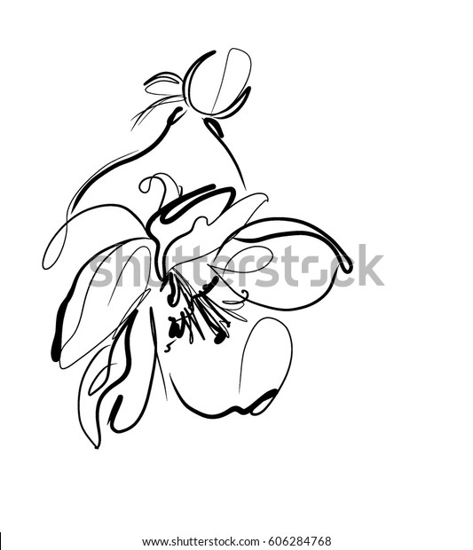 Drawing Vector Graphics Floral Pattern Design Stock Vector Royalty Free