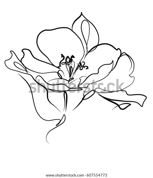 Drawing Vector Graphics Floral Pattern Design Stock Vector Royalty Free