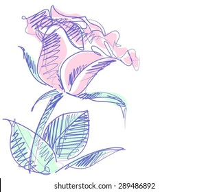 Drawing vector graphics with floral patterns with roses  for design. Floral flower natural design. Graphic, sketch drawing.
