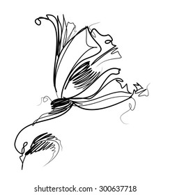 Drawing vector graphics with floral patterns with   tulip for design. Floral flower natural design. Graphic, sketch drawing.
