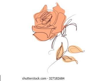 Drawing vector graphics with floral patterns with roses for design. Floral flower natural design. Graphic, sketch drawing. rose
