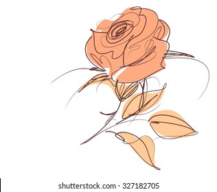 Drawing vector graphics with floral patterns with roses for design. Floral flower natural design. Graphic, sketch drawing. rose
