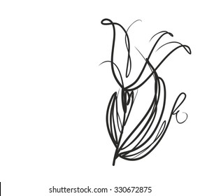  Drawing vector graphics with floral patterns with  tulips for design. Floral flower natural design. Graphic, sketch drawing. tulip.
