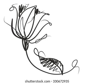  Drawing vector graphics with floral patterns with  tulips for design. Floral flower natural design. Graphic, sketch drawing. tulip.
