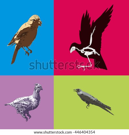 Drawing vector islated forest birds 