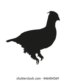 Drawing vector islated hazel grouse - tetrastes bonasia silhouette