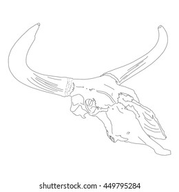 Drawing vector isoalted ancient aurochs - urus - ure skull - bos primigenius outlines