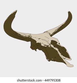 Drawing vector isoalted ancient aurochs - urus - ure skull - bos primigenius