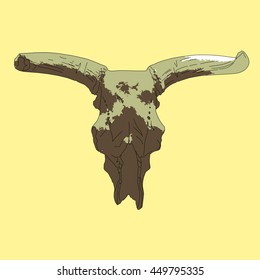 Drawing vector isoalted ancient aurochs - urus - ure skull front view - bos primigenius