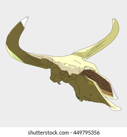 Drawing vector isoalted poly ancient aurochs - urus - ure skull - bos primigenius