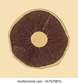 Drawing Vector Isolated Brown Mushroom On Beige Background