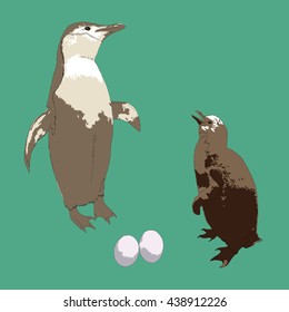 Drawing vector isolated Chinstrap penguin - pygoscelis antarctica - with a baby and two eggs