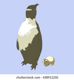 Drawing vector isolated Emperor penguin - aptenodytes forsteri - with a baby
