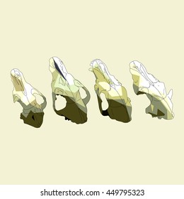 Drawing vector isolated four poly primitive dogs skulls