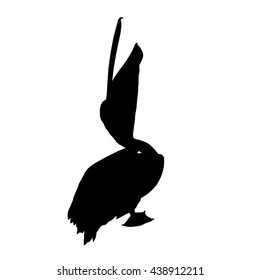 Drawing vector isolated Great white pelican, eastern white pelican, rosy pelican, white pelican - pelecanus onocrotalus silhouette
