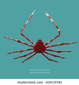 Drawing vector isolated Japanese spider crab - macrocheira kaempferi on blue background
