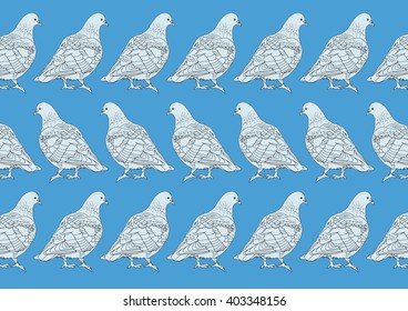 Drawing vector isolated pigeons on blue background