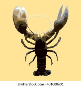 Drawing vector isolated poly European lobster, common lobster - homarus gammarus