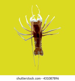 Drawing vector isolated poly Spiny lobster, European spiny lobster, Crayfish or cray, Common spiny lobster, Mediterranean lobster, Red lobster - palinurus elephas